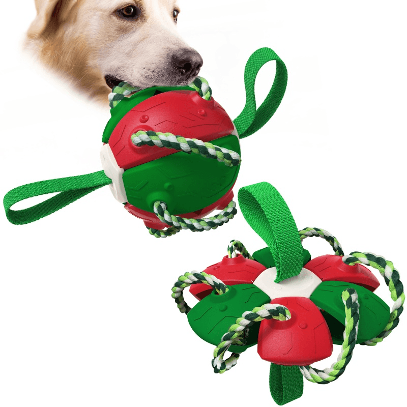 Pelota frisbee